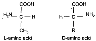 391_Stereochemistry of Amino Acids.png